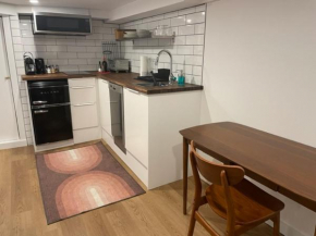 Lower level newly renovated studio apartment in central downtown location